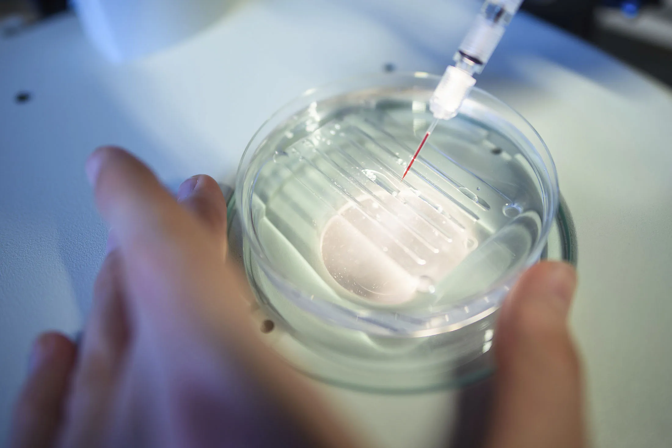 Deze CRISPR doorbraak kan alles veranderen, maar de markt twijfelt nog