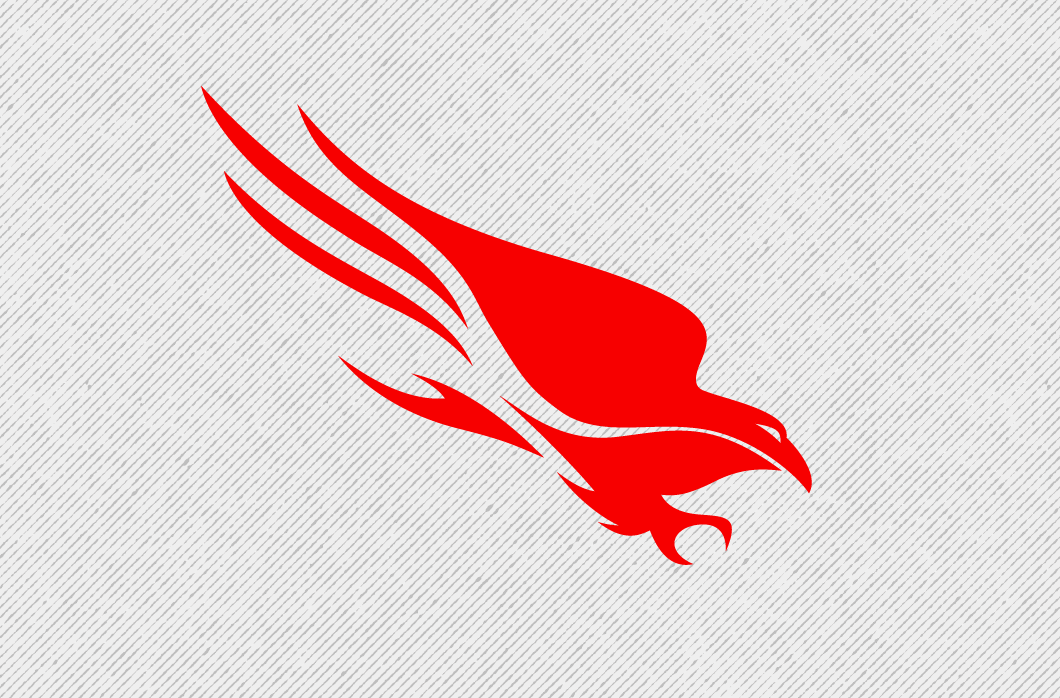CrowdStrike bezit met Falcon over een krachtig beveiligingsnetwerk: